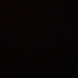 Meet your Posher, Willie